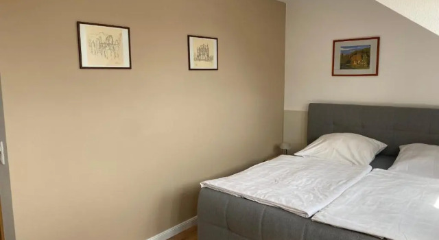 Номер Standard Apartmenthaus Zentral Bad Schandau