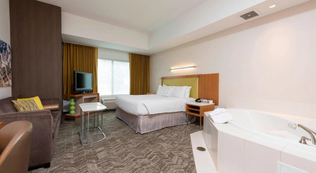 Двухместная студия SpringHill Suites Detroit Auburn Hills