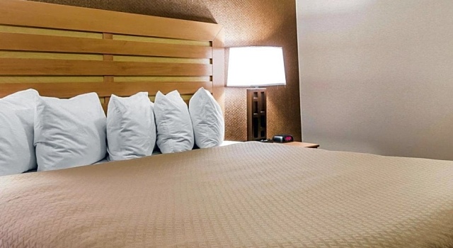 Люкс Quality Inn & Suites Warren - Detroit