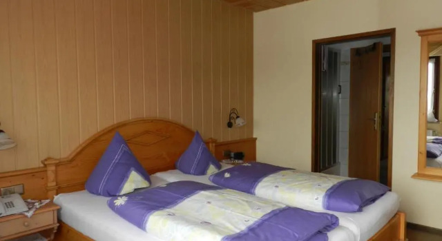 Номер Standard Hotel Dachsberger-Hof