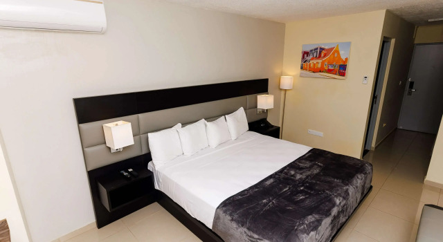 Двухместный номер Standard Brion City Hotel BW Signature Collection