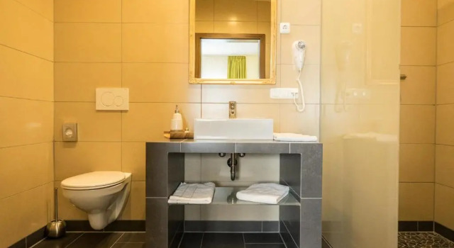 Двухместный номер Standard Hotel Viola