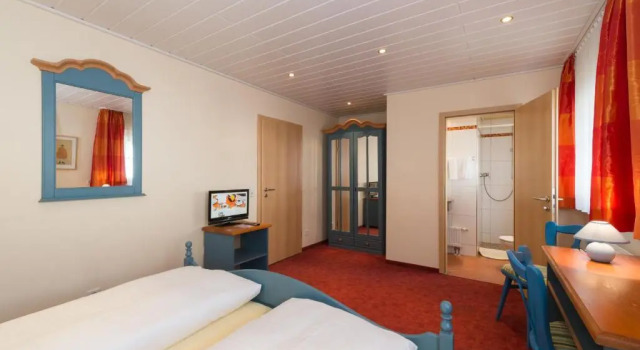 Двухместный номер Standard Hotel SCHNEIDER