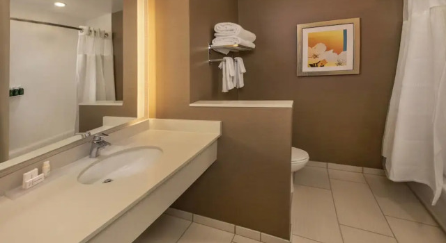 Люкс Fairfield Inn & Suites by Marriott Harrisburg International Airport