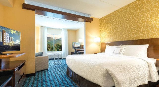Двухместный люкс Fairfield Inn & Suites by Marriott Asheville Tunnel Road