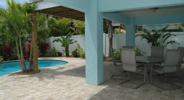 Sand Dollar by RedAwning