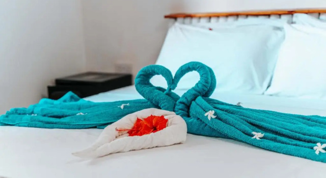 Апартаменты Simba Apartment Hotel