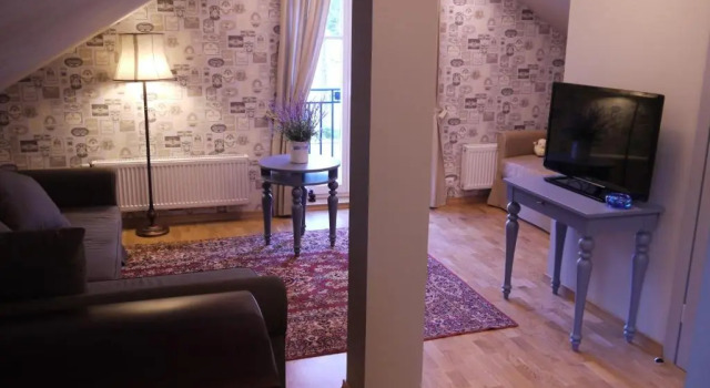 Семейная студия Мансарда Apartments Livia