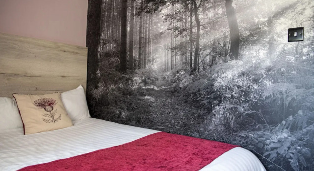 Одноместный номер Superior c 1 комнатой с видом на сад Bridleways Guesthouse & Holiday Homes