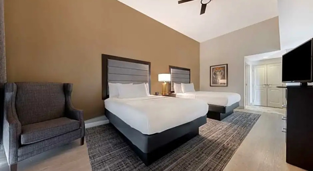 Четырёхместный люкс Large c 1 комнатой Homewood Suites Nashville Vanderbilt