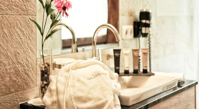 Номер Economy Salnerhof Superior Lifestyle Resort