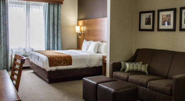 Четырёхместный номер Standard Comfort Suites Hotel and Conference Center