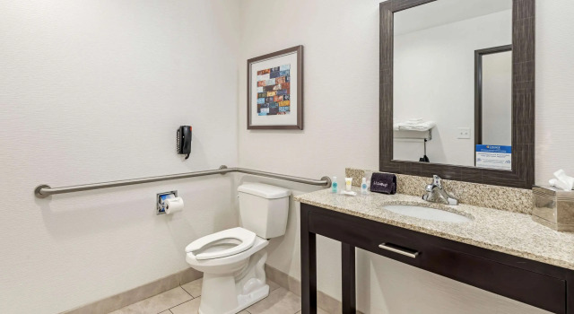 Двухместный люкс Comfort Inn & Suites Brighton Denver NE Medical Center