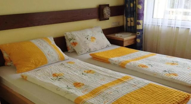 Номер Standard Pension Carina