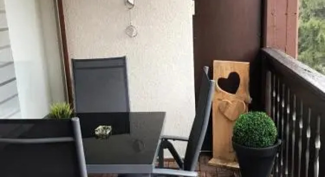 Winterberg Appartement 21088