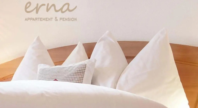 Номер Economy Pension Apartment Erna