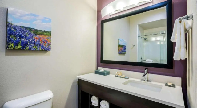 Двухместный номер La Quinta by Wyndham Houston Cypress