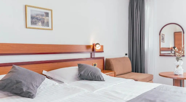 Двухместный номер Superior Hotel Horizont