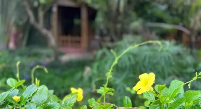 Bamboo Eco Village, Book Hotel Hoteller i Mekong Delta med pool, Swimmingpool