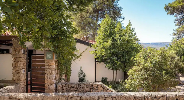 Одноместный люкс Valamar Amicor Resort