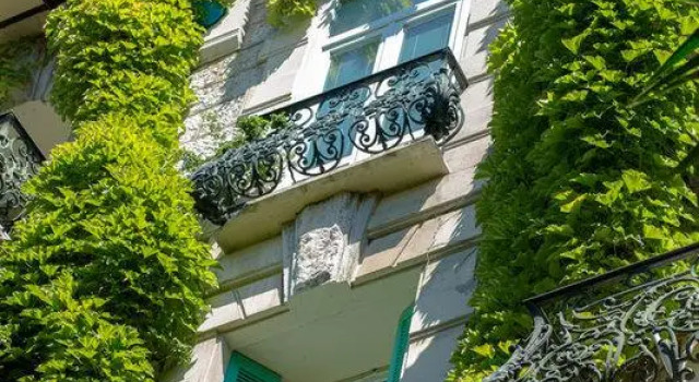 Номер Superior Le Windsor, Jungle Art Hotel