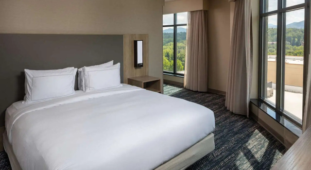 Двухместный полулюкс Hilton Asheville Biltmore Park