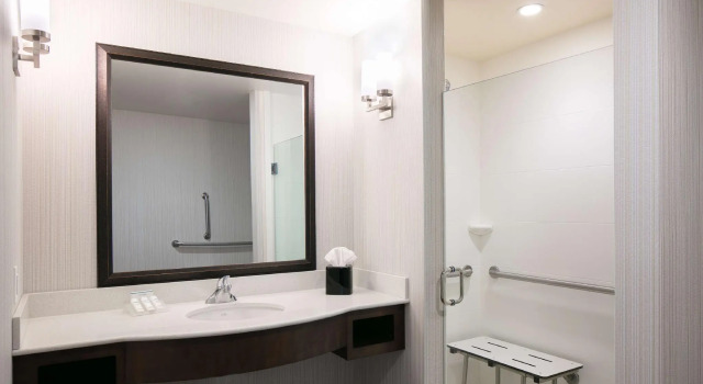 Четырёхместный номер Standard Hilton Garden Inn Bettendorf/ Quad Cities