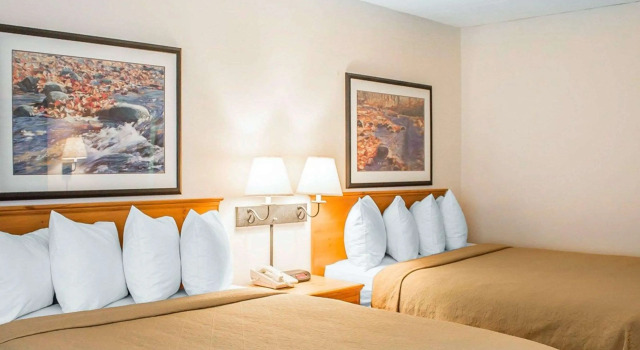 Standard Vierer Zimmer Quality Inn