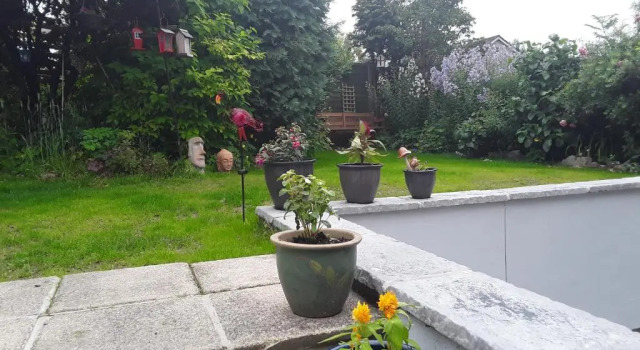 Standard Kahden hengen huone puutarhanäkymä Morven Bed & Breakfast