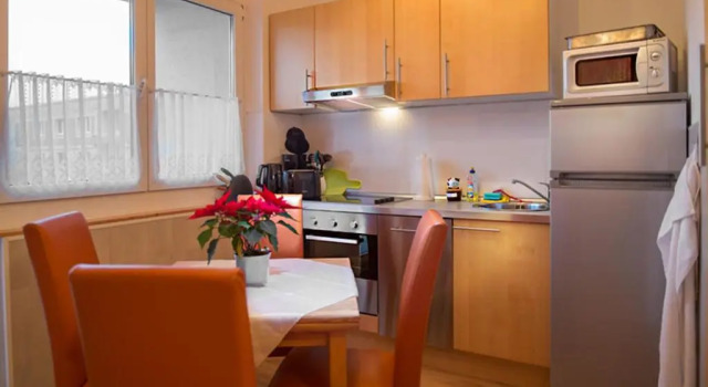 Апартаменты H&H Apartments im Herzen der Stadt teilweise mit Balkon ruhig zentral modern mit Küche