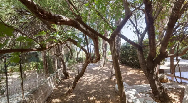Scopello Flat with Panoramic Courtyard and Parking