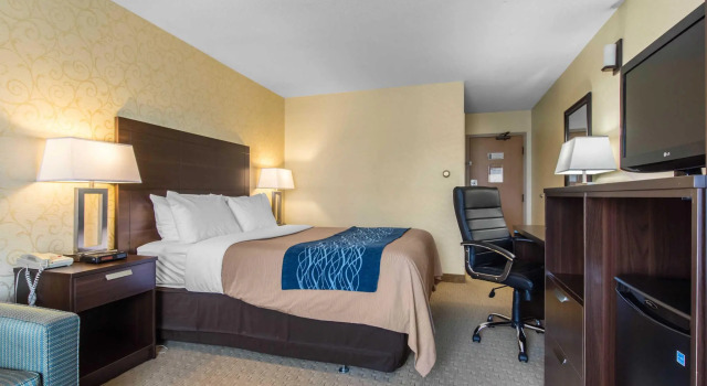 Двухместный номер Standard Цокольный этаж Comfort Inn