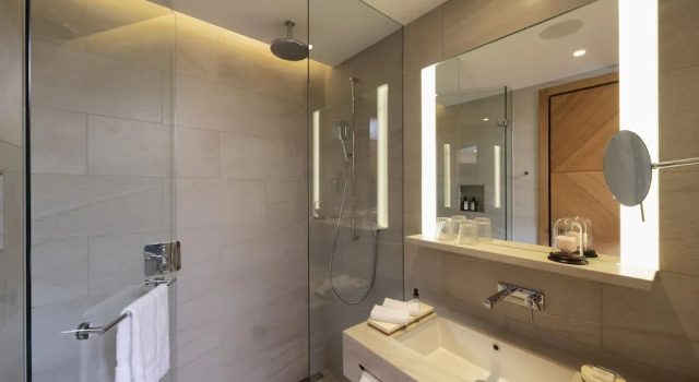 Одноместный номер Deluxe Mövenpick Hotel Basel