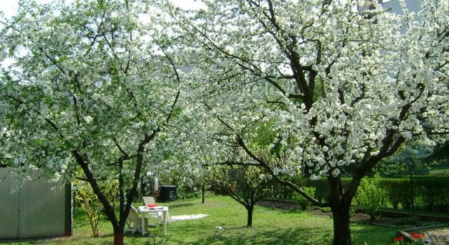 Коттедж Ferienhaus mit Garten & Parkplatz, für Paare, Familien und Hunde