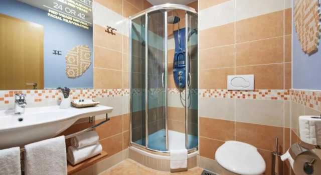 Двухместный номер Economy Grand Hotel Primus - Terme Ptuj - Sava Hotels & Resorts