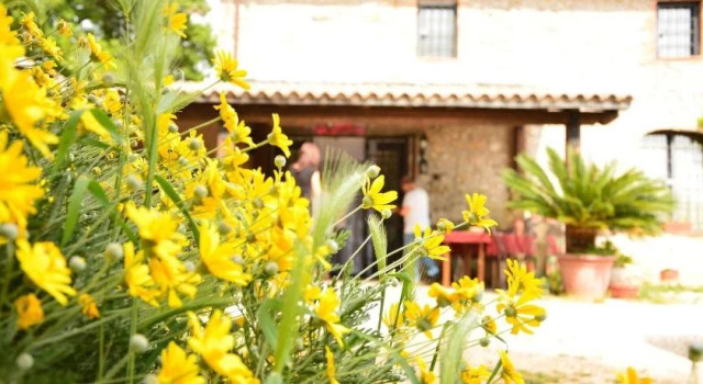 Podere Passatore, Book Hotel Hoteller i Narni med pool, Swimmingpool