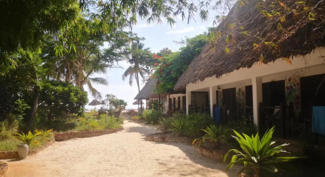 Двухместный номер Economy Mambo Ocean Resort