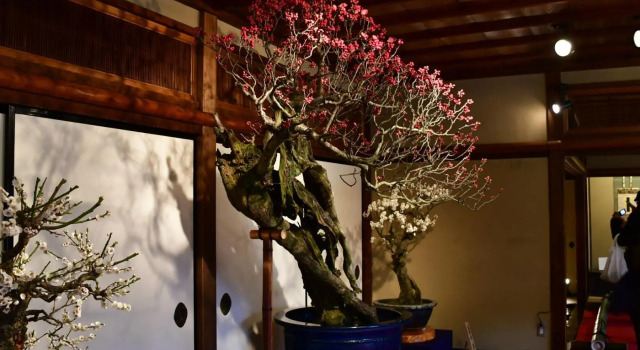Cozy house 305 free E-bike & free portable Wifi, Book Hotel Kyoto Japan