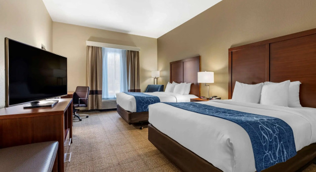 Четырёхместный номер Standard Comfort Inn & Suites Paris