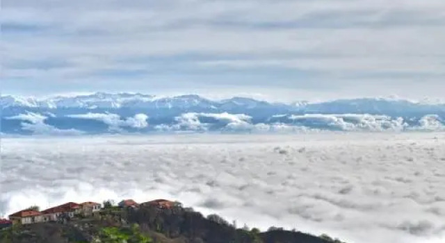Tsitso & Soso Guesthouse, Prenota Affittacamere Hotel a Kakheti con parcheggio, Parcheggio