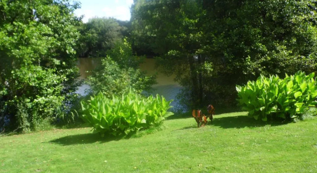 Lac de la Vie, Rezervasyon Otel Bressuire havuzlu oteller, Yüzme Havuzu