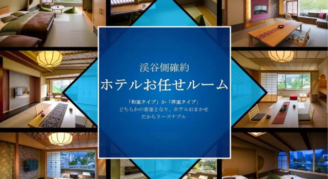 Run of House Kinugawa Plaza Hotel