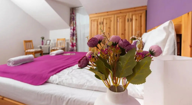 Berkenye Vendghz, Rezervovat Hotel Balatonfüred 