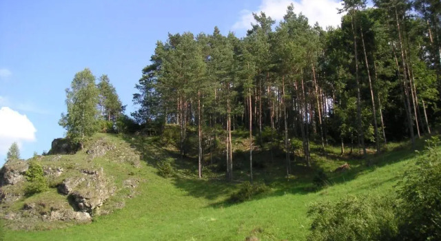 Апартаменты Natur-Aktiv-Hof Thiem