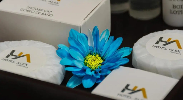 Номер Standard Hotel Alex