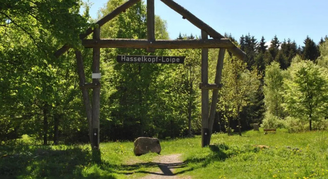 Апартаменты Harz-Rose