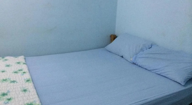 Kiwi Orchid & PL Guesthouse