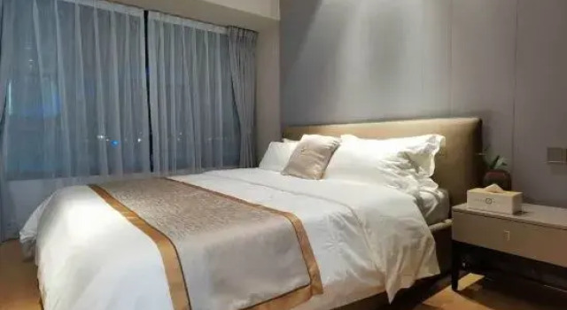 Люкс Business Ovis International Hotel Apartment