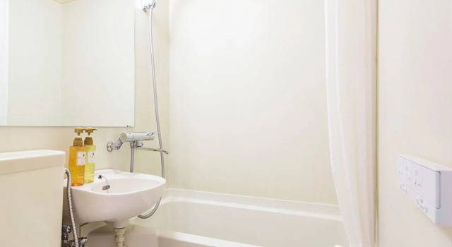 Одноместный номер Standard Flexstay Inn Sakuragicho