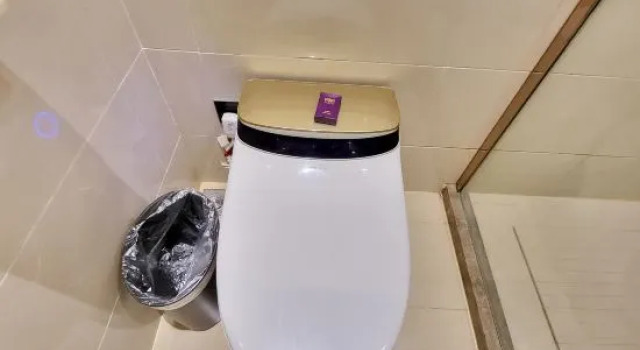 Люкс Deluxe Purple Gold Hotel